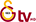 Galatasaray TV Galatasaray TV logo
