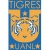 Club Tigres de la UANL