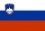 Slovenya U21