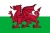 Wales U19