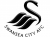 Swansea City