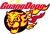 Guangdong Southern Tigers Guangdong Southern Tigers