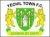 Yeovil Town U23