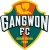 Gangwon Fc